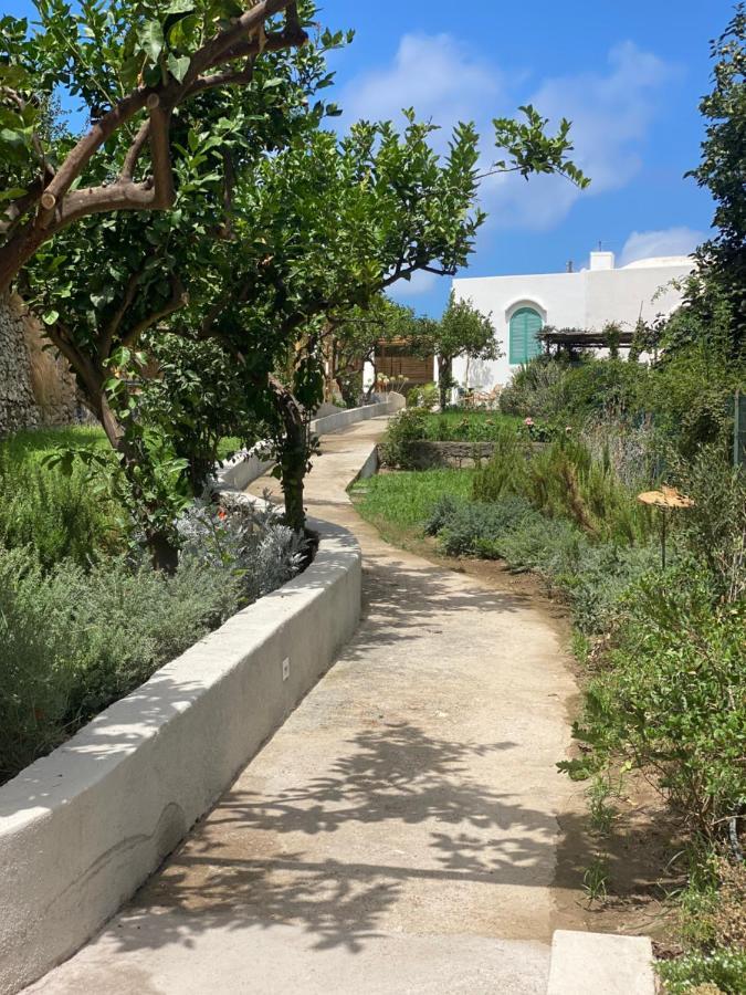 Capri Suite Marina Grande Buitenkant foto